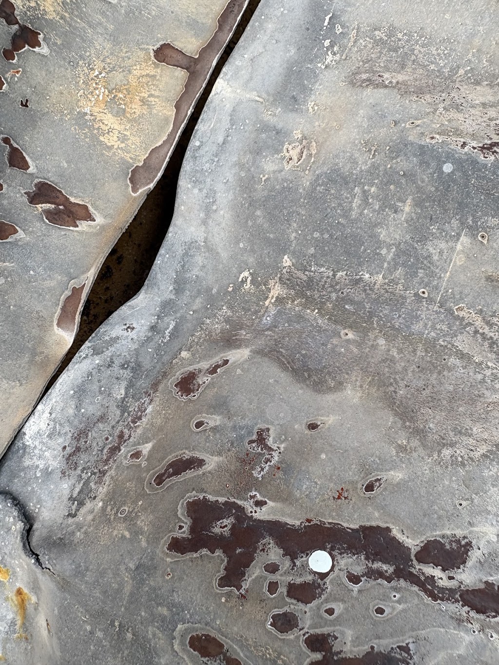 Jason’s painting and handyman services | 1-3 Lake Parade, East Corrimal NSW 2518, Australia | Phone: 0499 864 189