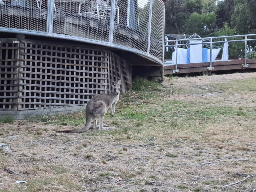 Anglesea Recreation Camp | Anglesea Recreation Camp, 1535 Great Ocean Rd, Anglesea VIC 3230, Australia | Phone: (03) 5263 1512