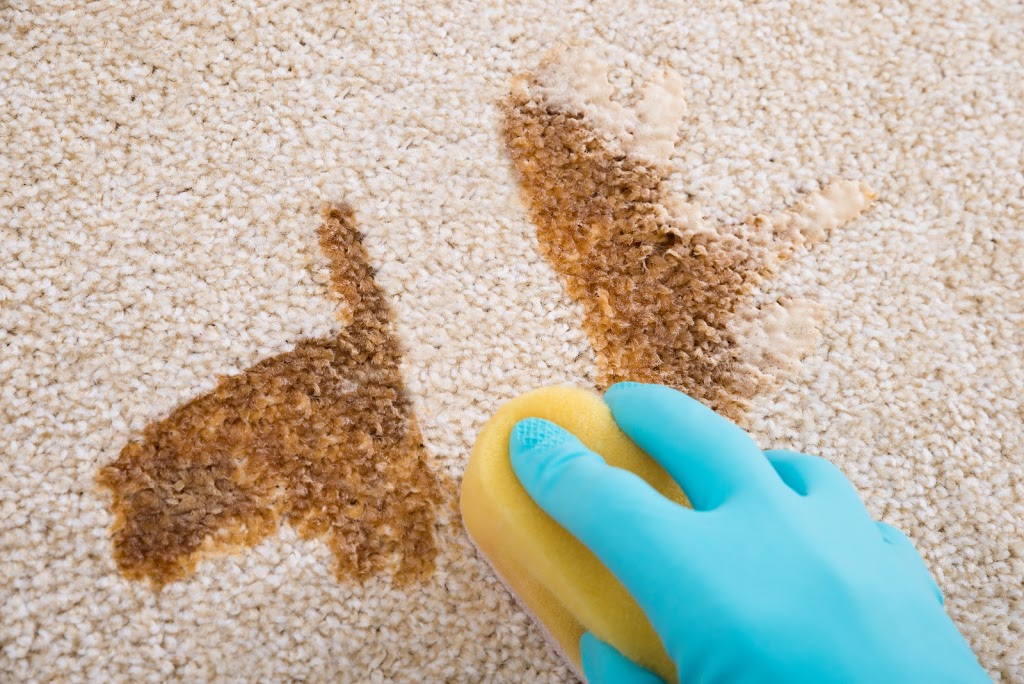 Carpet Cleaning St Marys | laundry | Carpet Cleaning, St Marys NSW 2760, Australia | 0280773082 OR +61 2 8077 3082