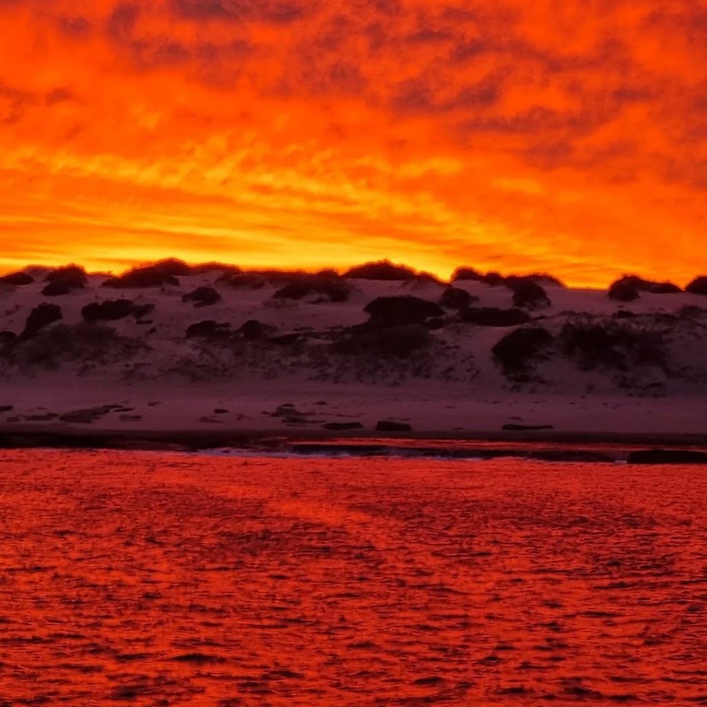 Kalbarri Offshore Adventures | 160 Grey St, Kalbarri WA 6536, Australia | Phone: 0427 010 976