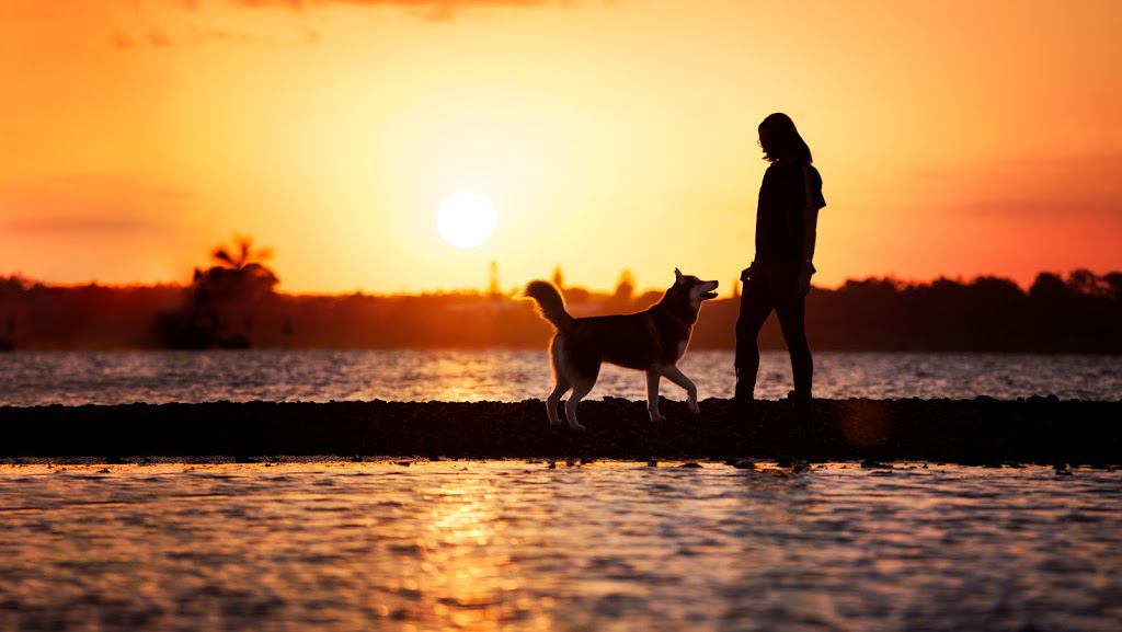 Beacon Dog Training Coombabah | 21/21 Hansford Rd, Coombabah QLD 4216, Australia | Phone: 0473 404 378