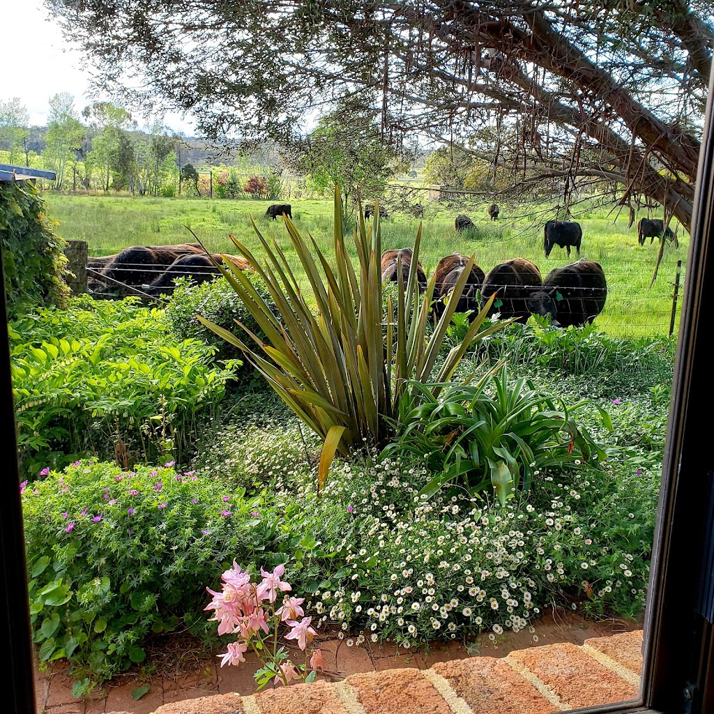 GLENHOPE ALPACAS | 59 Redgum Ln, Armidale NSW 2350, Australia | Phone: 0422 969 310