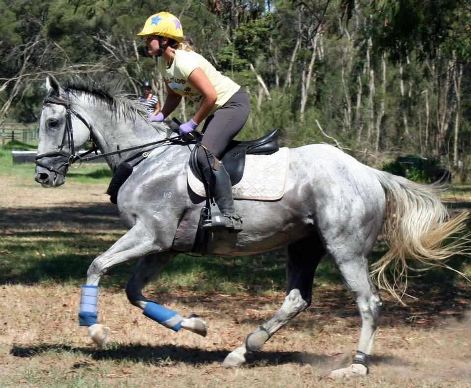 Equus Pty Ltd |  | 255 Pooley Rd, Nar Nar Goon North VIC 3812, Australia | 0432111896 OR +61 432 111 896