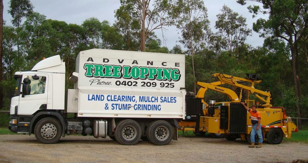 Advance Tree Lopping | 85 Waterford Tamborine Rd, Waterford QLD 4133, Australia | Phone: 0402 209 925