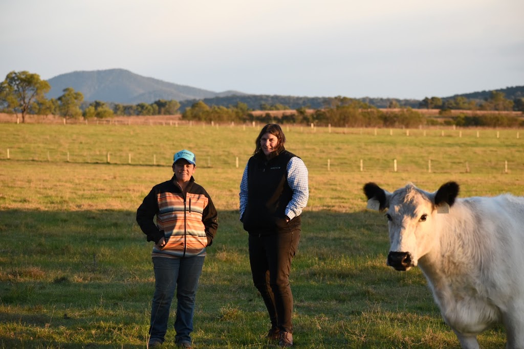 Benbullen Speckle Park Meats | Maffco La, Maffra VIC 3860, Australia | Phone: 0473 469 186