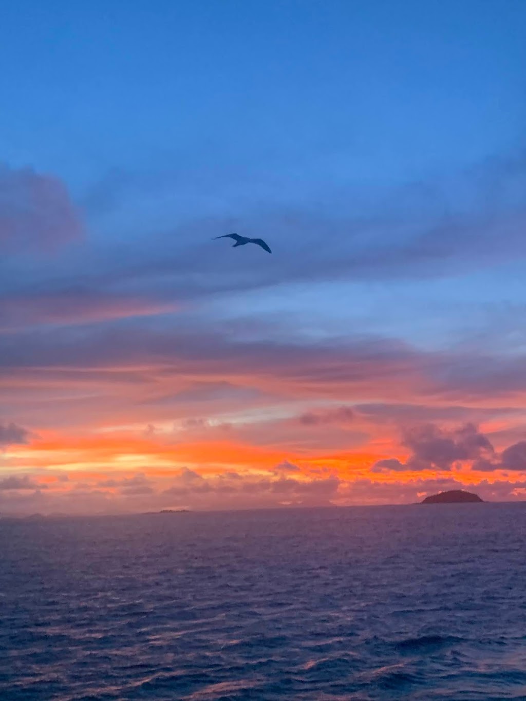 Portland Roads - Sailing the Whitsundays |  | Q3, Q4, Q5 & Q6 - Coral Sea Marina, Ngaro Sea Country, Shingley Dr, Airlie Beach QLD 4802, Australia | 1300991474 OR +61 1300 991 474