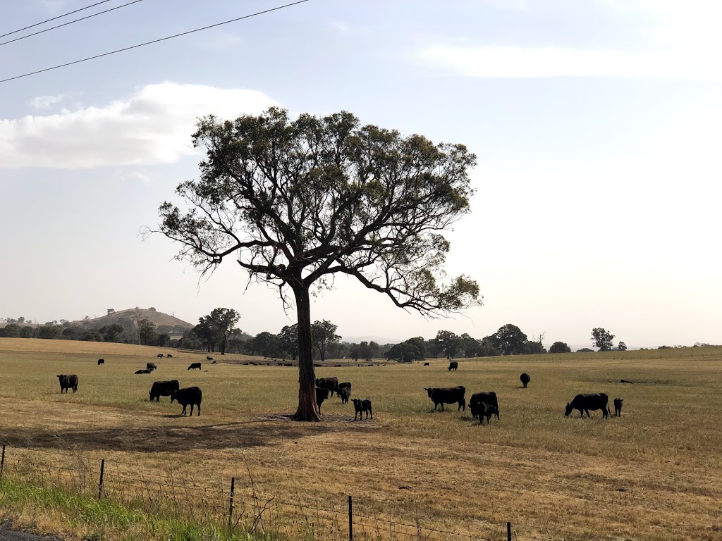 Carcoar Freecamp & Windfarm |  | 234 Carcoar Dam Rd, Carcoar NSW 2791, Australia