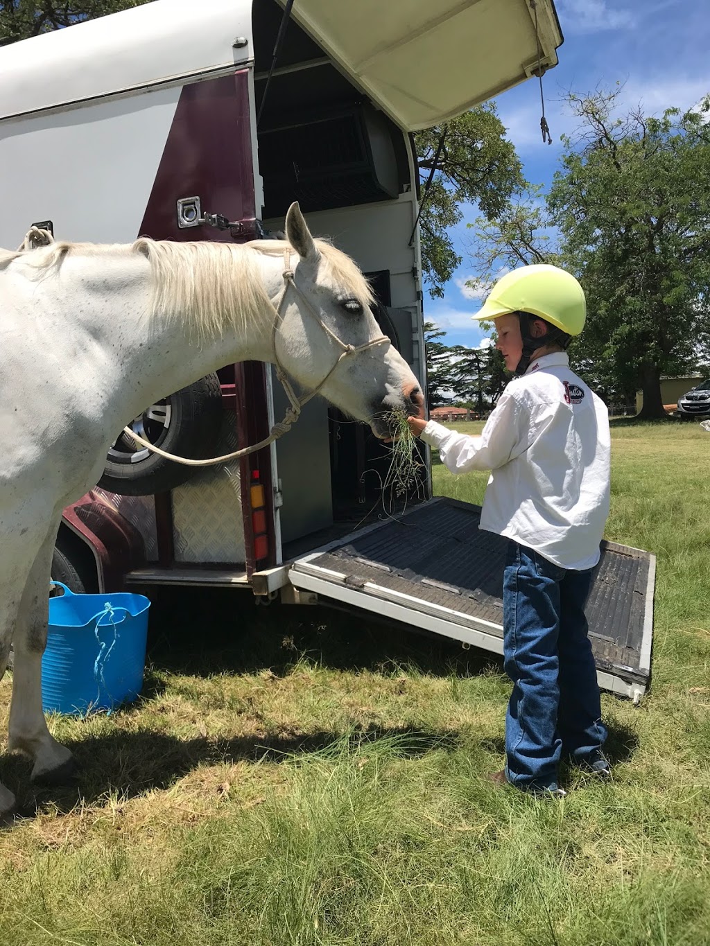 Harlow Park Horse Riding | 318 Gostwyck Rd, Uralla NSW 2358, Australia | Phone: (02) 6778 4631