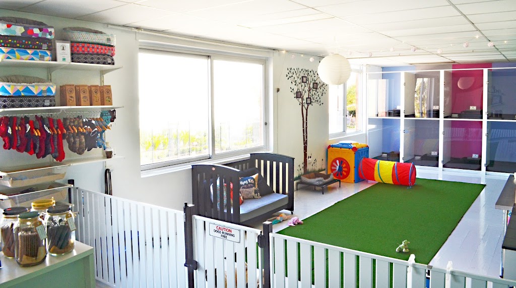 Happy Little Howlers | 23a Luland St, Botany NSW 2019, Australia | Phone: 0452 661 046