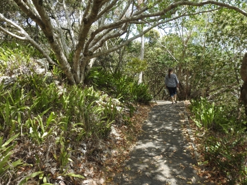 Bustard Bay Lookout | Seventeen Seventy QLD 4677, Australia