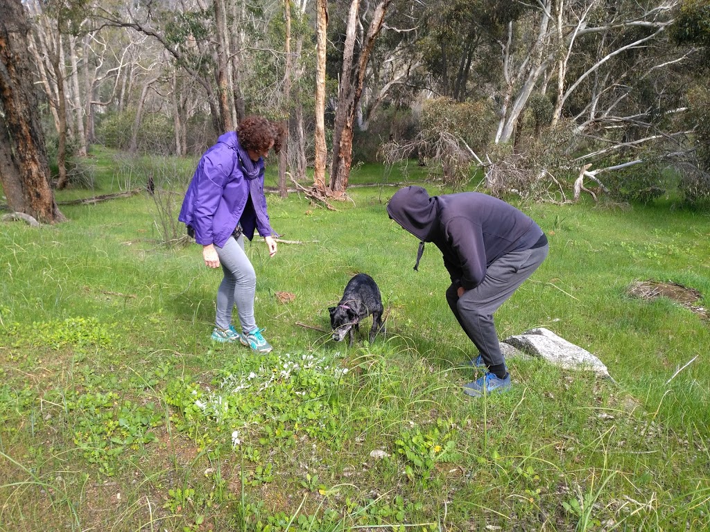 Bungendore Park | Wungong WA 6112, Australia