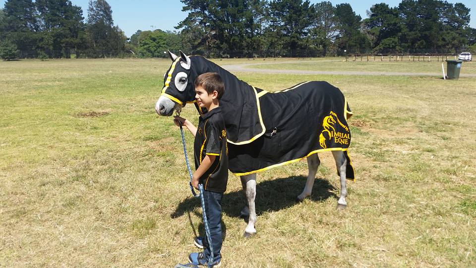 Imperial Equine | 17 Judd Rd, Lewiston SA 5501, Australia | Phone: 0477 027 842
