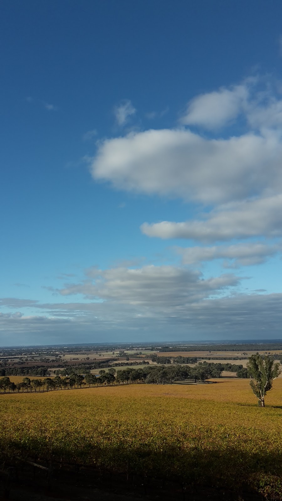 Cornella - Toolleen Rd Nature | park | 402 Cornella-Toolleen Rd, Toolleen VIC 3551, Australia