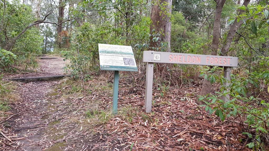 Sheldon Forest Track (Kimbarra Rd Entry) | park | Kimbarra Rd, Pymble NSW 2073, Australia | 0294240933 OR +61 2 9424 0933