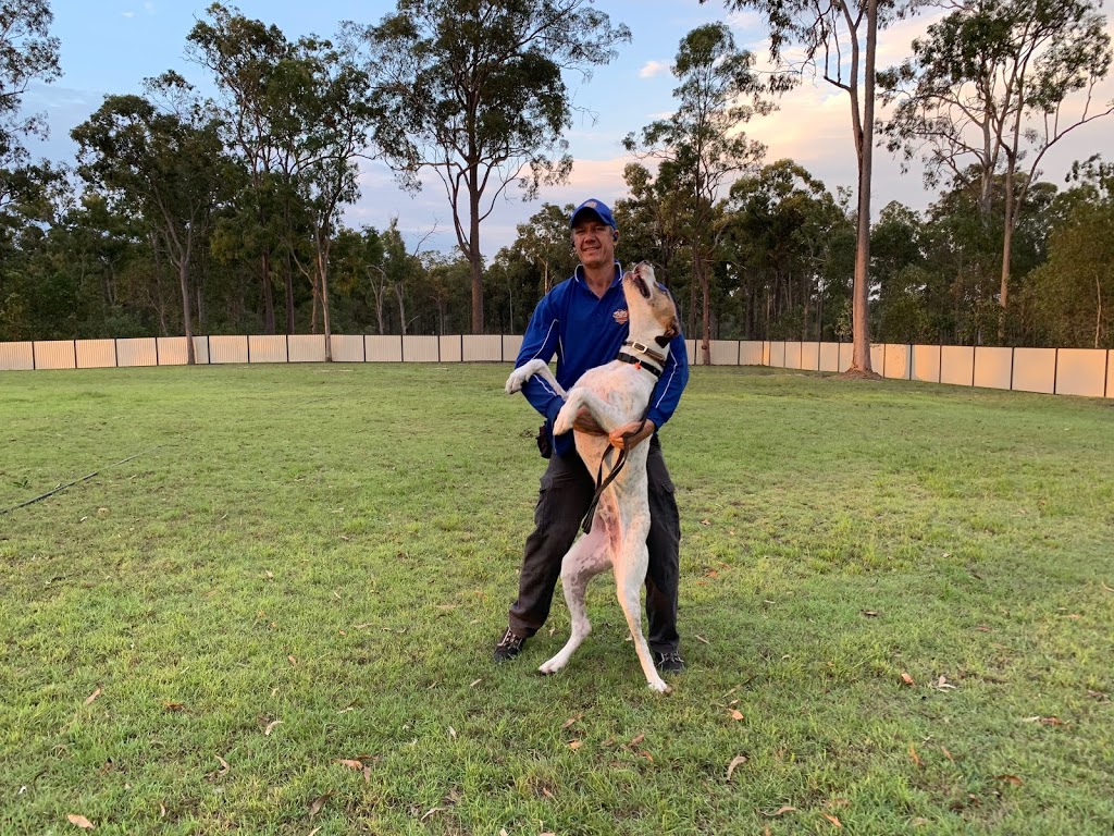 Excel Dog Training & Boarding Kennels | Attunga Rd, Greenbank QLD 4124, Australia | Phone: 0404 122 684