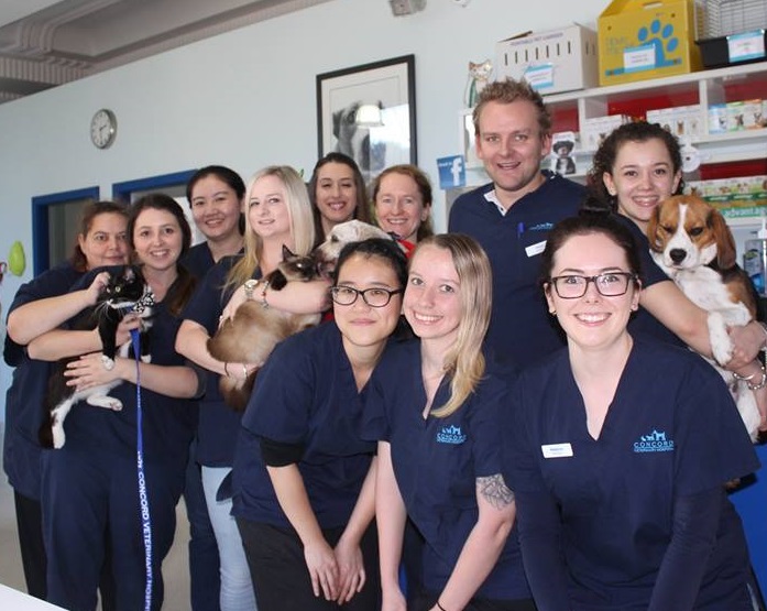 Concord Veterinary Hospital | veterinary care | 191 Concord Rd, North Strathfield NSW 2137, Australia | 0297431715 OR +61 2 9743 1715