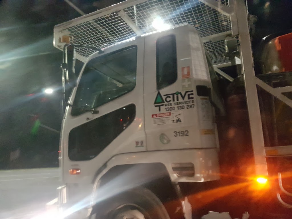 Active Tree Services Pty Ltd | 7/53 Jersey Rd, Bayswater VIC 3153, Australia | Phone: (03) 8873 3100