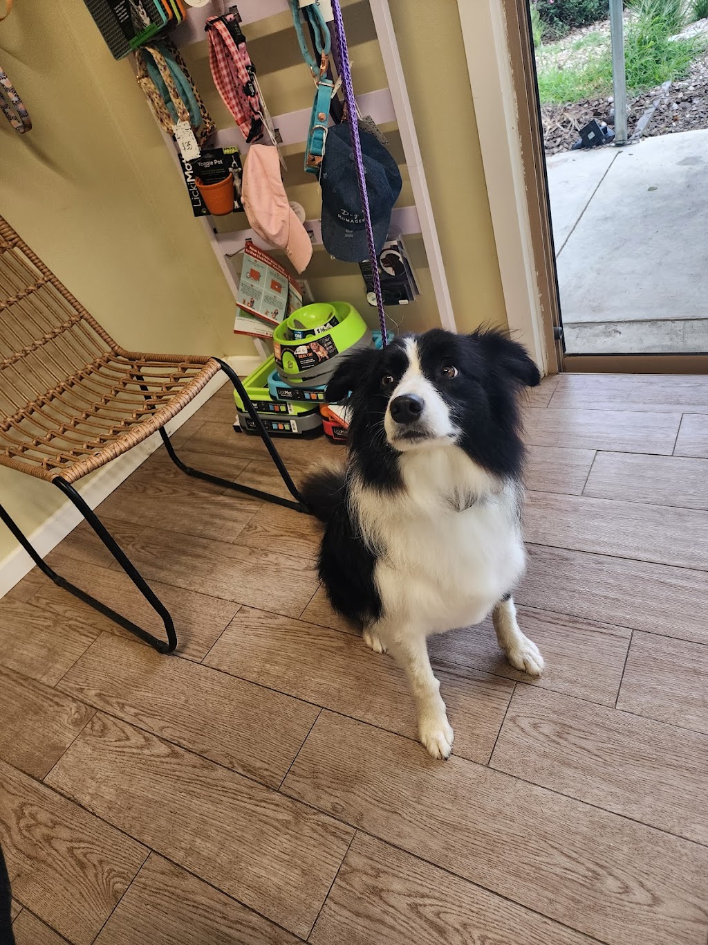 Wonderful Wagz Pet Grooming | 50 Dowell La, Barnawartha North VIC 3691, Australia | Phone: 0437 879 588