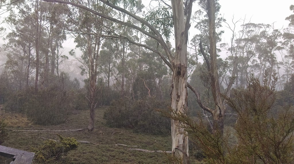 Cradle Mountain Rangers Office | 4057 Cradle Mountain Rd, Cradle Mountain TAS 7306, Australia | Phone: (03) 6492 1110