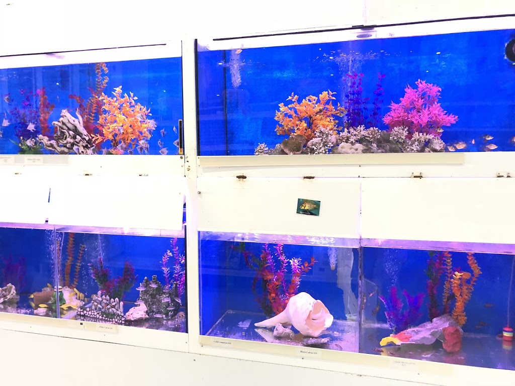Robs Aquarium | pet store | 7/1890 Beach Rd, Malaga WA 6090, Australia | 0892091282 OR +61 8 9209 1282