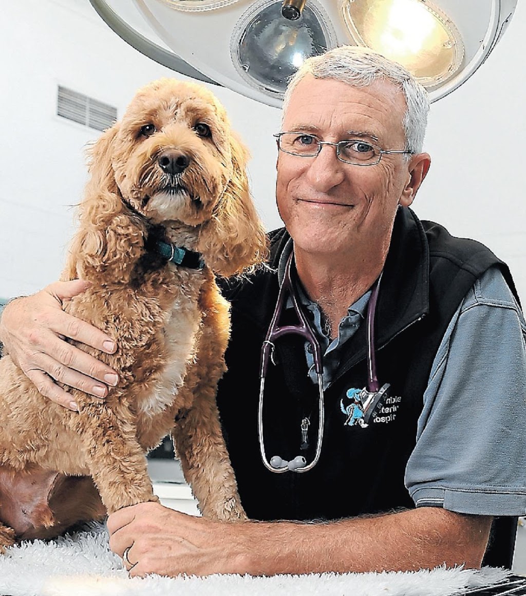 Banksia Grove Veterinary Hospital | veterinary care | 1001 Joondalup Dr, Banksia Grove WA 6031, Australia | 0893062555 OR +61 8 9306 2555