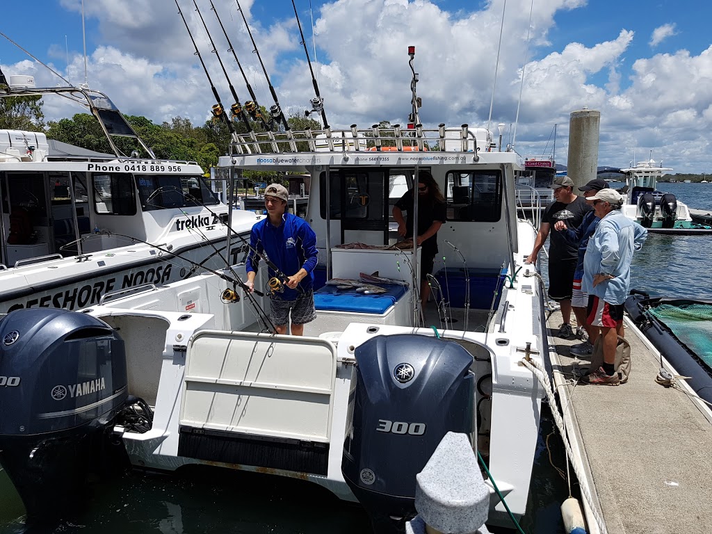 Fishing Offshore Noosa | Jetty, 256 Gympie Terrace, Noosaville QLD 4566, Australia | Phone: (07) 5449 9355