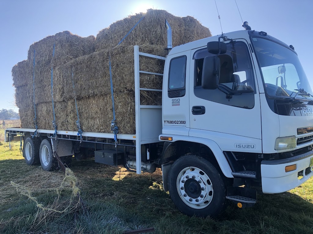 Capertee Valley Livestock Transport | 484 Crown Station Rd, Glen Davis NSW 2846, Australia | Phone: 0414 668 525