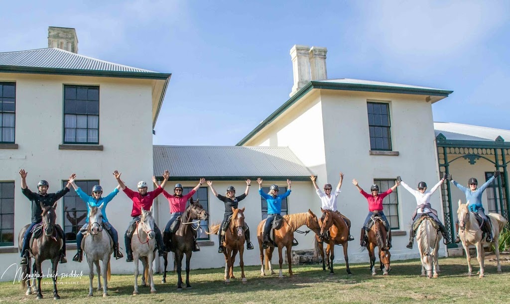 Australian Horse Adventures | travel agency | 88 Westwood Rd, Carrick TAS 7291, Australia | 1800586284 OR +61 1800 586 284