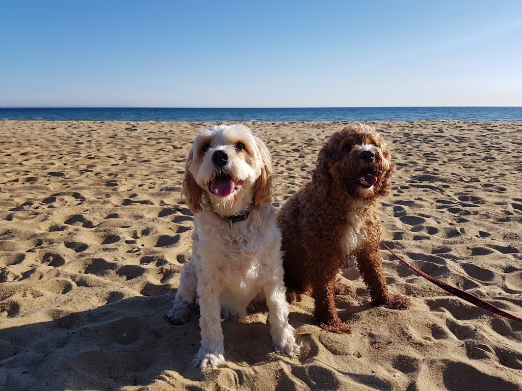 Dog Friendly Beach | park | Mentone VIC 3194, Australia