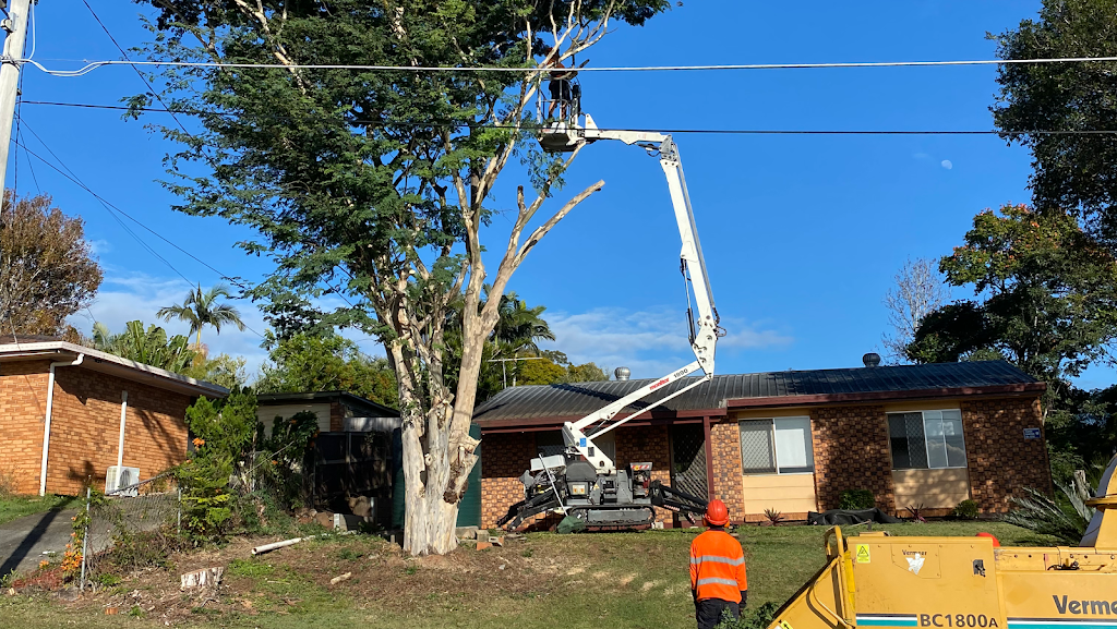 Boss Tree Services Russell Island & Bay islands | general contractor | 164 Canaipa Point Dr, Russell Island QLD 4184, Australia | 0731333199 OR +61 7 3133 3199