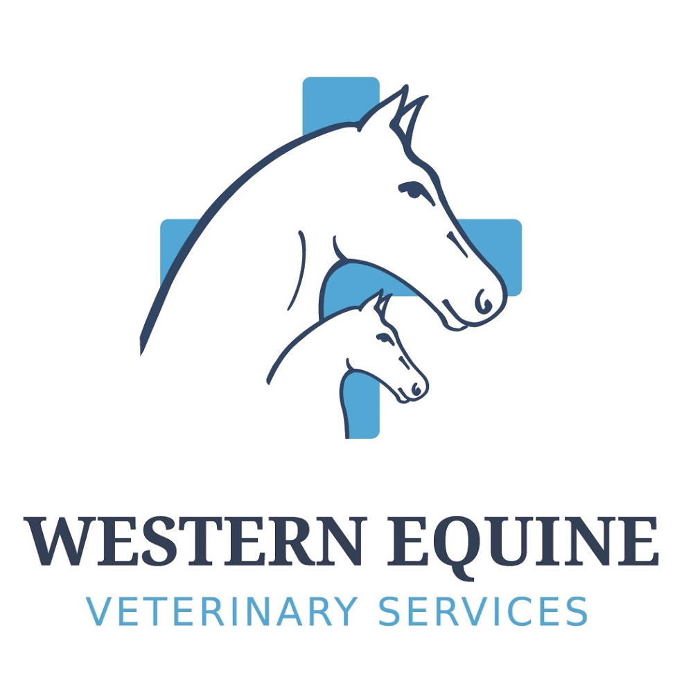 WESTERN EQUINE VETERINARY SERVICES | veterinary care | 58 Derrimut Rd, Hoppers Crossing VIC 3029, Australia | 0418385223 OR +61 418 385 223
