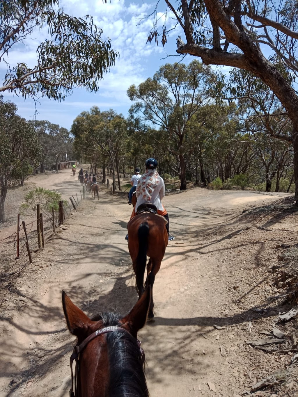 Uncle Nevs Trail Riding | travel agency | 1115 Wallan-Whittlesea Rd, Upper Plenty VIC 3756, Australia | 0357834617 OR +61 3 5783 4617