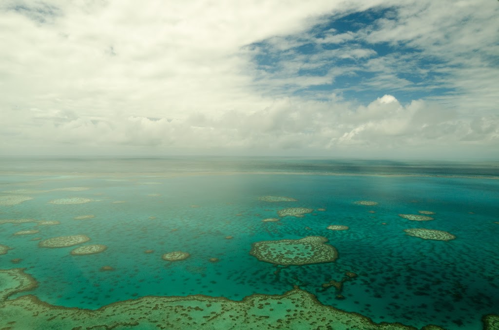 Air Whitsunday Seaplanes | Main Terminal, Whitsunday Coast Airport, Lascelles Ave, Gunyarra QLD 4800, Australia | Phone: (07) 4946 9111