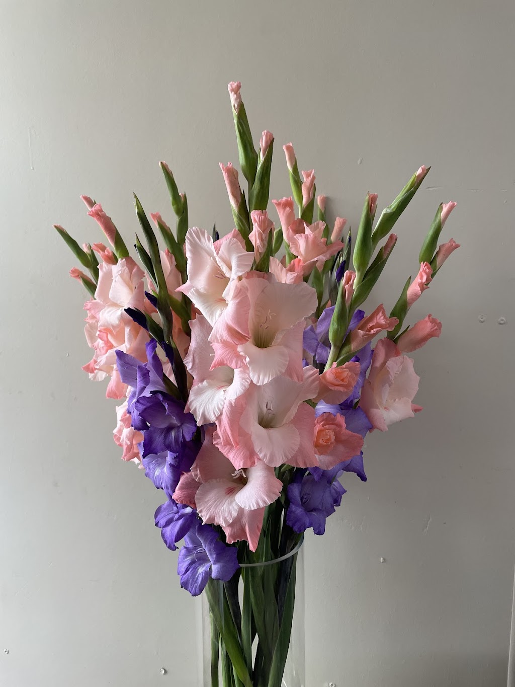 Ellamore Flowers | 36 Springton Rd, Williamstown SA 5351, Australia | Phone: 0423 551 021