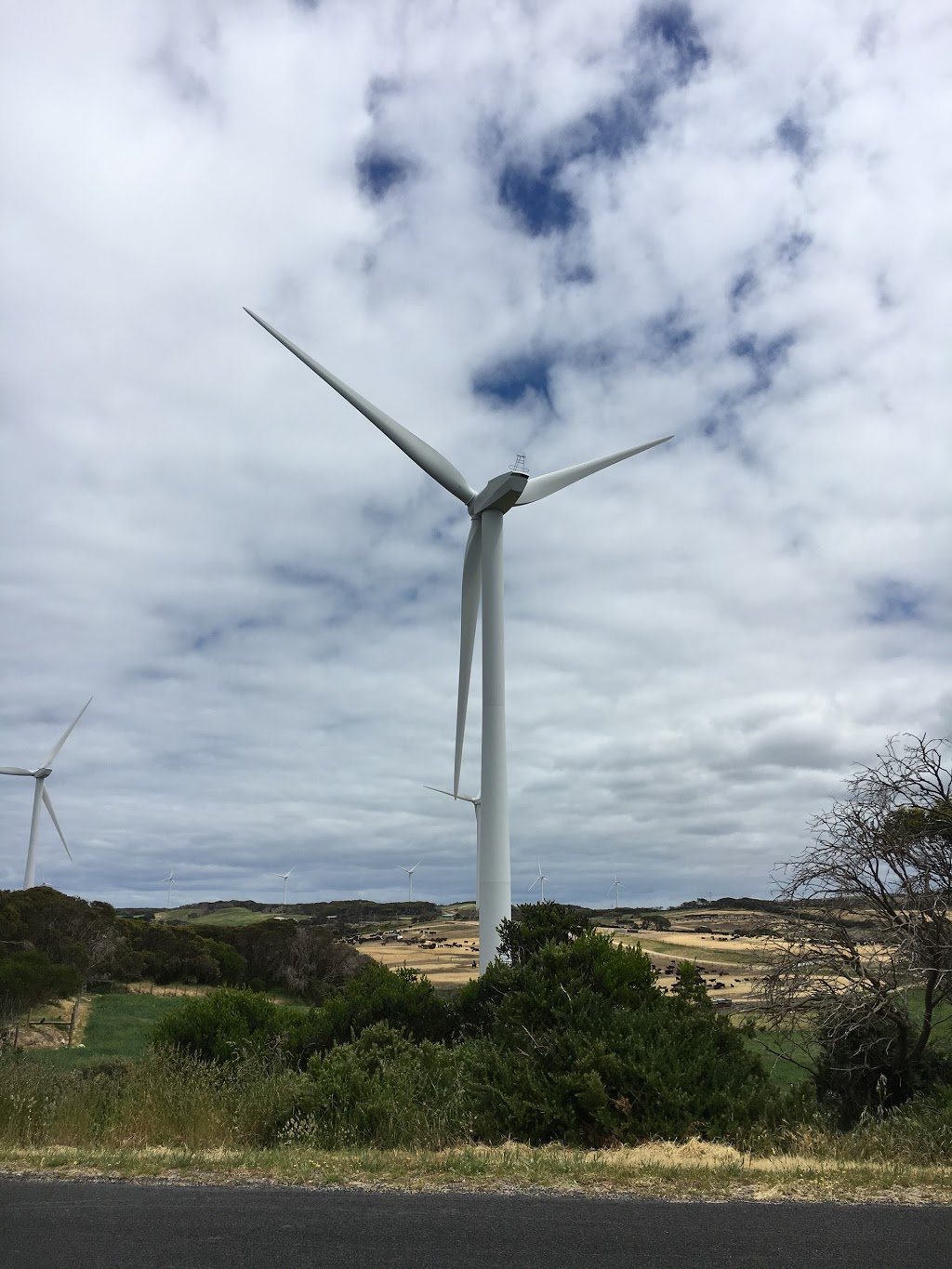 Cape Nelson State Park | Cape Nelson, Cape Nelson Rd, Portland West VIC 3305, Australia | Phone: 13 19 63