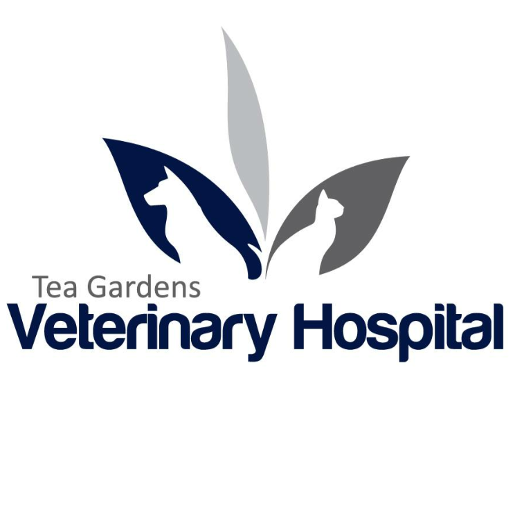 Tea Gardens Veterinary Hospital | veterinary care | 2/197 Myall St, Tea Gardens NSW 2324, Australia | 0249971877 OR +61 2 4997 1877