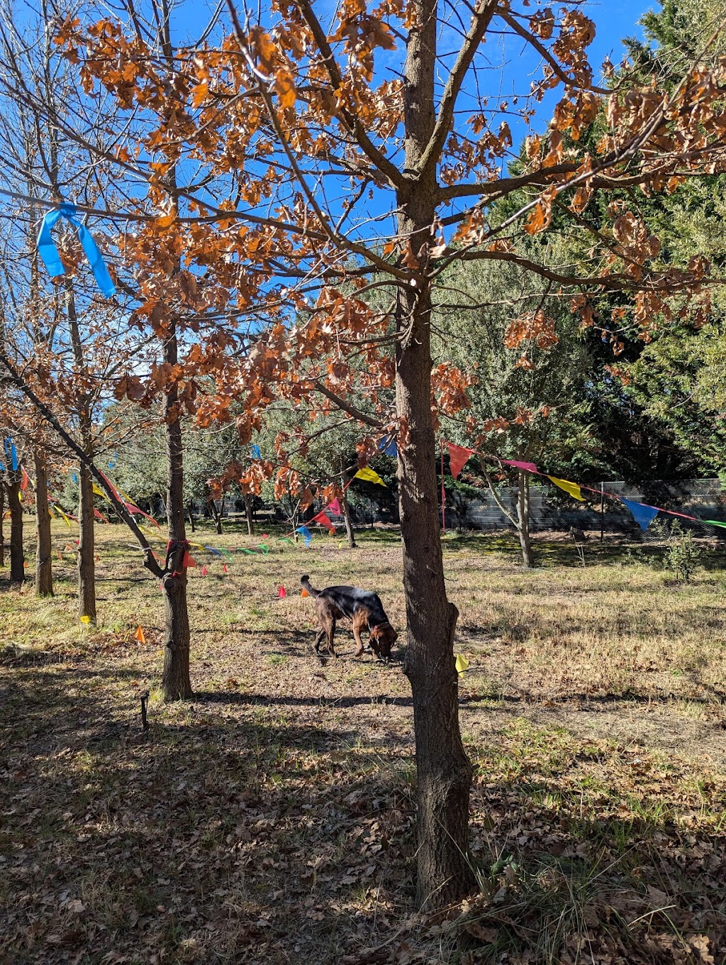 Hidden Valley Farms | 117 Mills Rd, Carrick NSW 2580, Australia | Phone: 0408 111 122