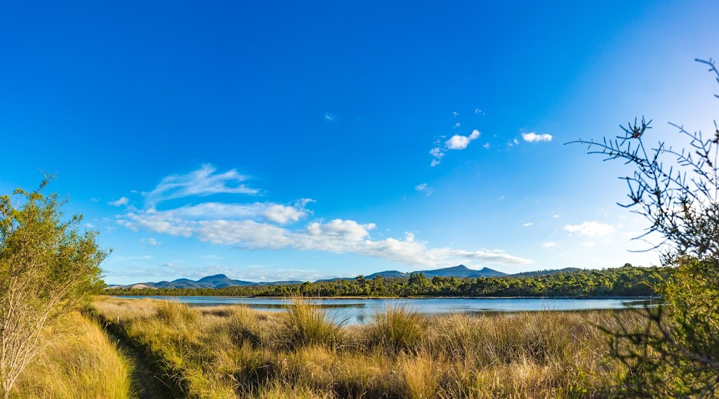 Winifred Curtis Reserve | park | 23282 Tasman Hwy, Scamander TAS 7215, Australia