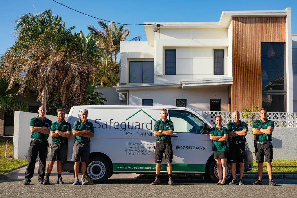 Safeguard Pest Control Sunshine Coast | 1/22 Malkana Cres, Buddina QLD 4575, Australia | Phone: (07) 5477 6675