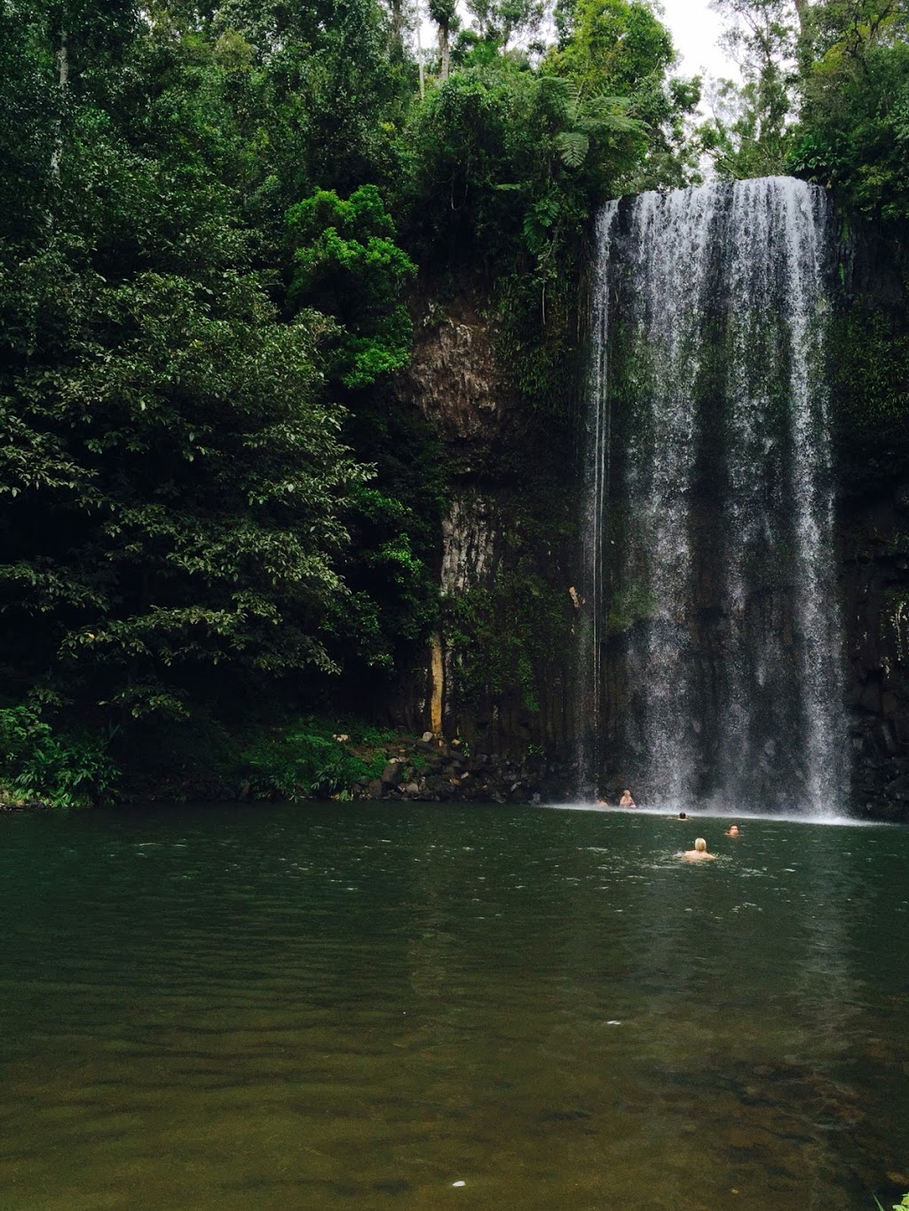 Millaa Millaa Falls | park | Millaa Millaa QLD 4886, Australia