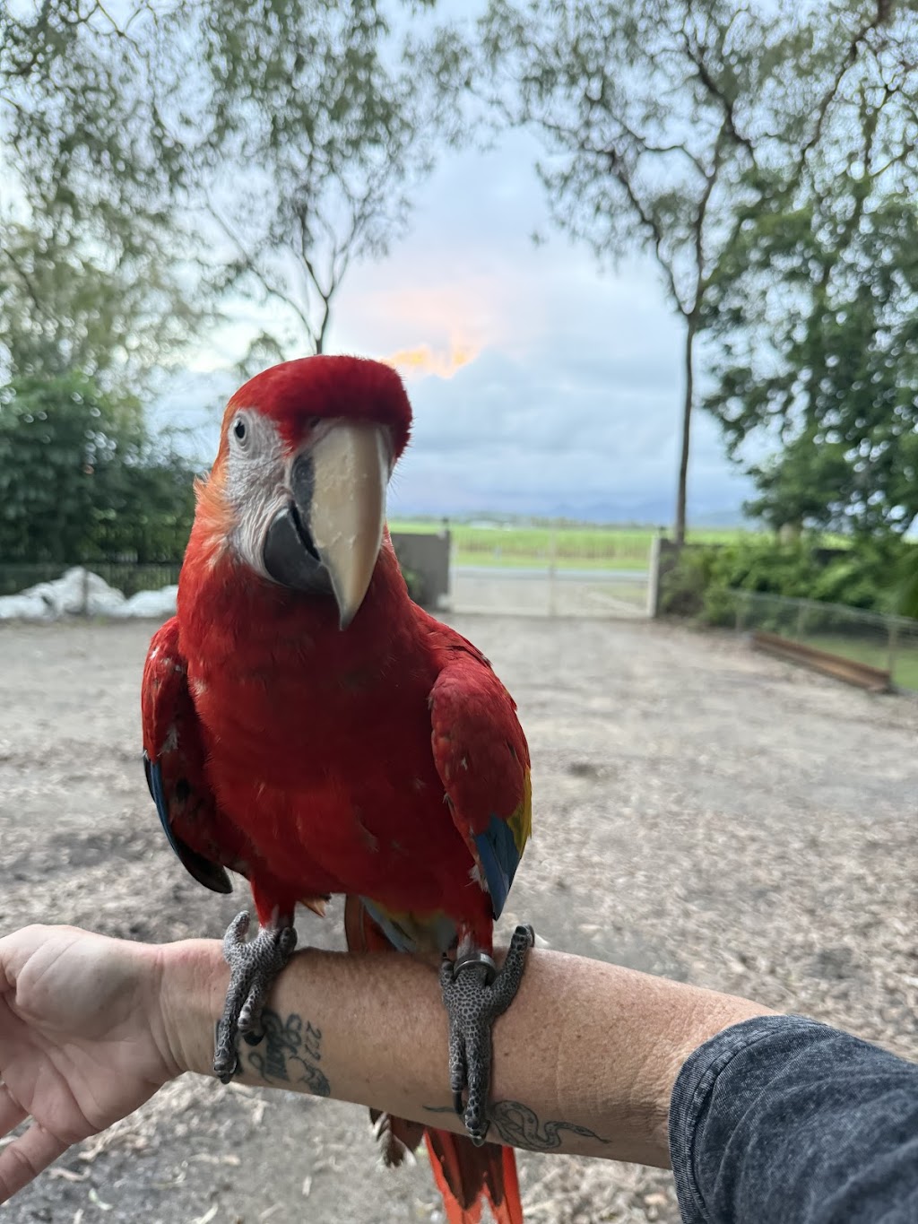 Twin Pine Pet Resort | 2989 Mackay Eungella Rd, Benholme QLD 4754, Australia | Phone: 0466 816 360