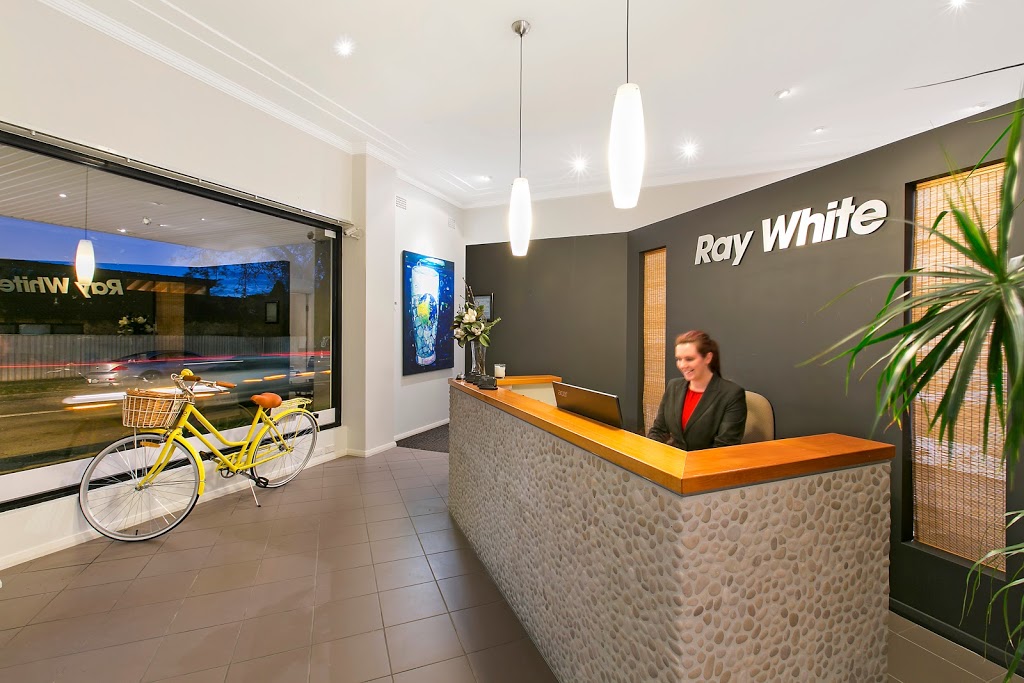 Ray White Freshwater | real estate agency | 102 Oliver St, Freshwater NSW 2096, Australia | 0299393388 OR +61 2 9939 3388