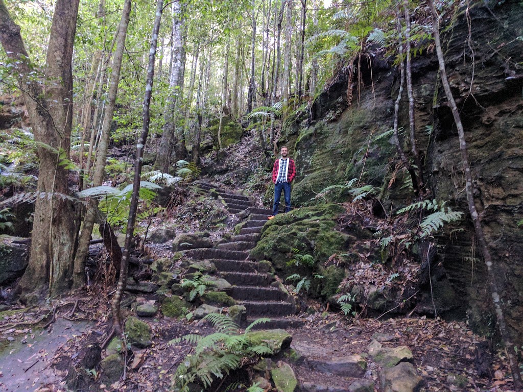 Grand Canyon Walking Track | Blue Mountains National Park, Evans Lookout Rd, Blackheath NSW 2785, Australia | Phone: (02) 4787 8877