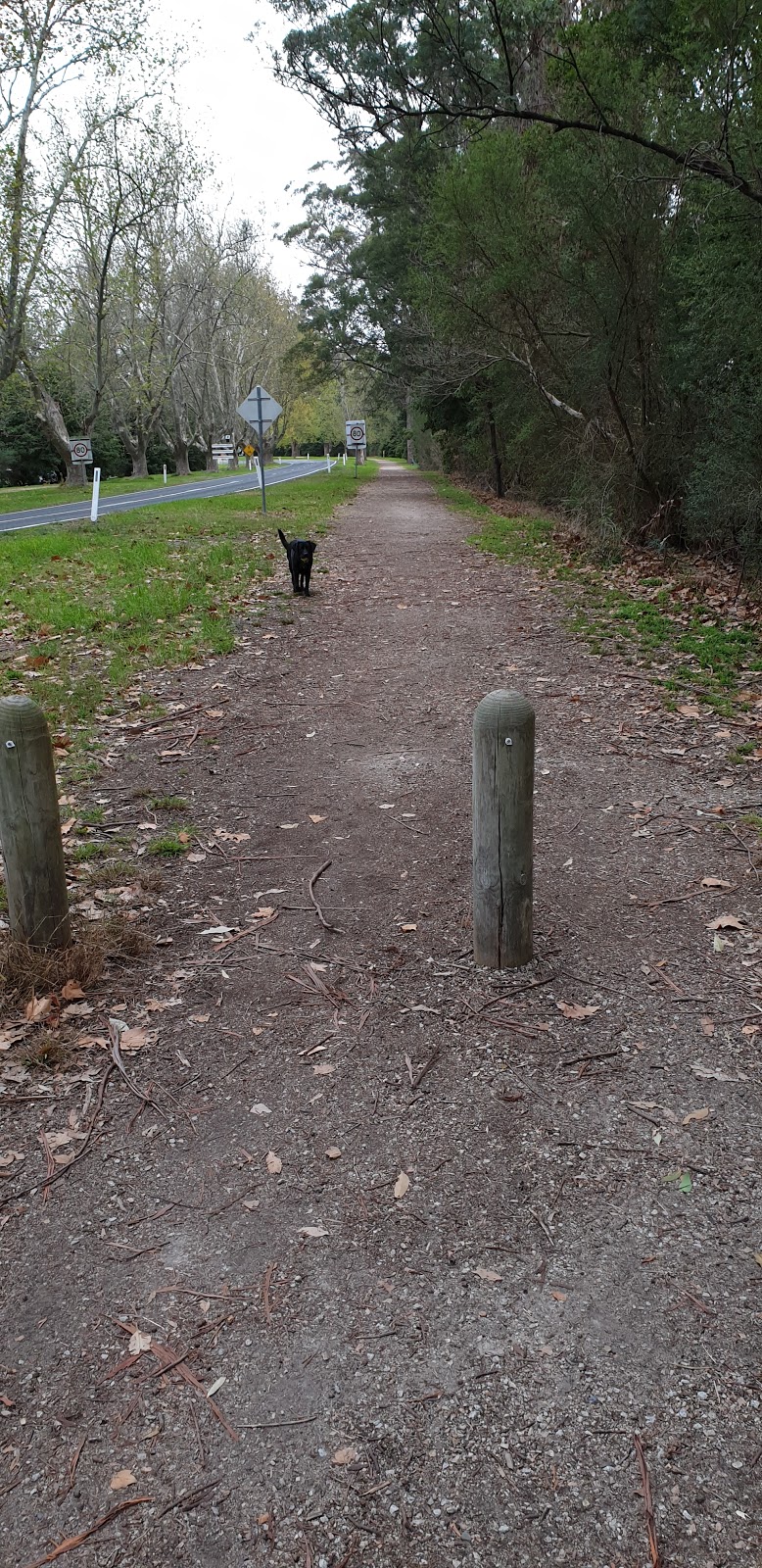 Snowy River Walk | Orbost VIC 3888, Australia