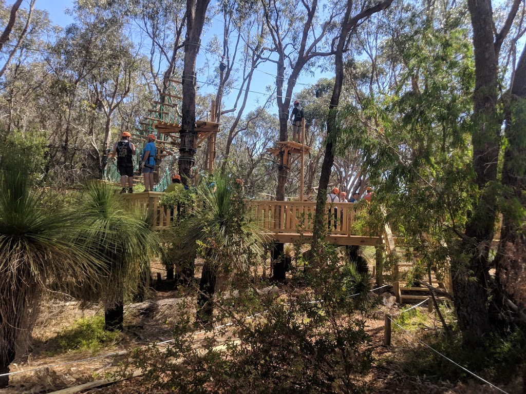 Treetops Adventure Yanchep | Yanchep National Park, Ghost House Rd, Yanchep WA 6035, Australia | Phone: 0455 421 312