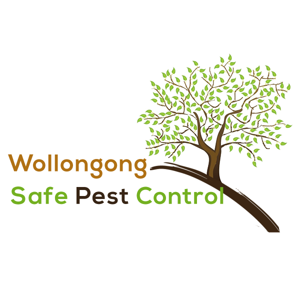 wollongong safe pest control | home goods store | 3 Guest Ave, Fairy Meadow NSW 2519, Australia | 0455284333 OR +61 455 284 333