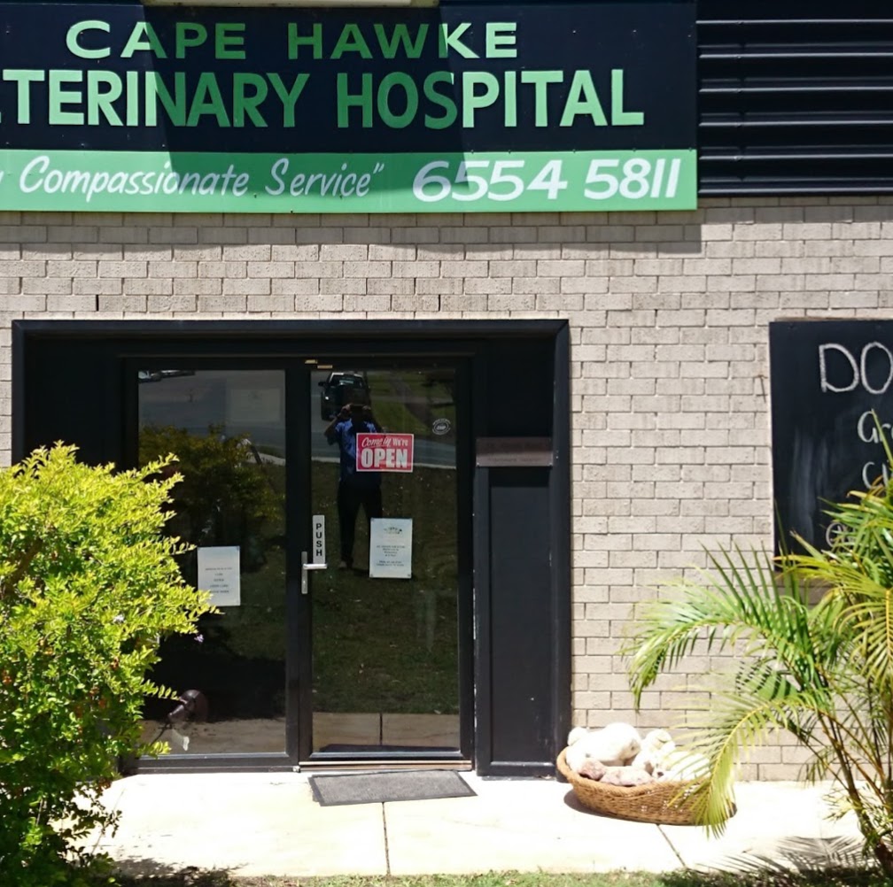 Cape Hawke Veterinary Hospital | veterinary care | 1/80 Kularoo Dr, Forster NSW 2428, Australia | 0265545811 OR +61 2 6554 5811