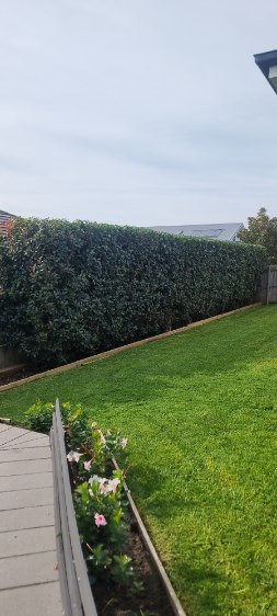 Panjab Lawn Care | 22a Biara St, Bargo NSW 2574, Australia | Phone: 0403 798 905