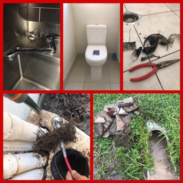 Sewer Wizard Plumbing | 4 Bembooka Cl, Glen Eden QLD 4680, Australia | Phone: 0414 015 654