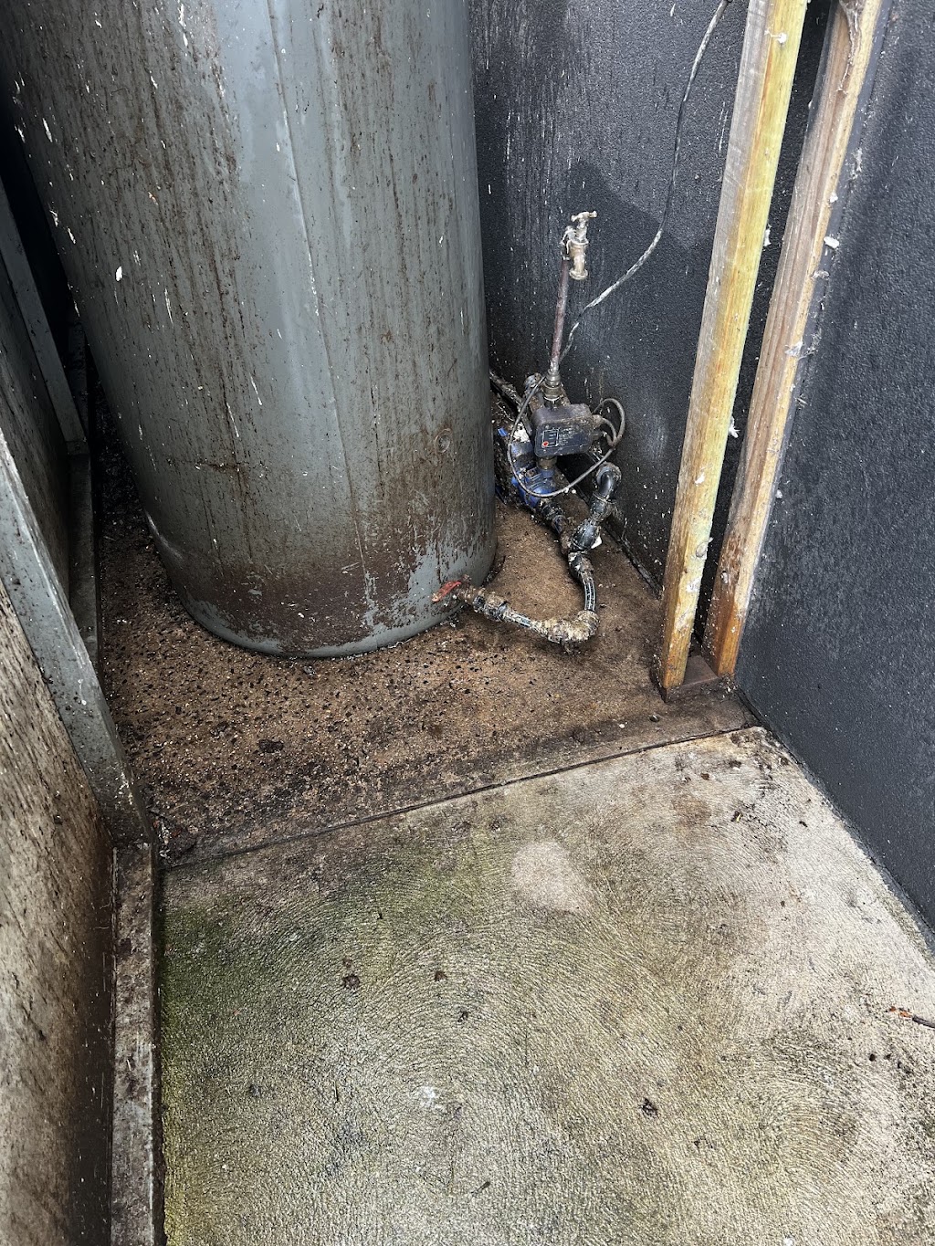 Essential Pest Solutions - Pest Control Geelong | 44/3 Dyson Ct, Breakwater VIC 3219, Australia | Phone: 0438 422 580